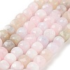 Natural White Jade Beads Strands G-H028-A09-10-1