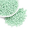 Opaque Acrylic Beads MACR-T048-02P-3