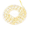 Anti-Tarnish Electroplate Glass Beads Strands GLAA-T025-29H-2