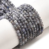 Natural Tanzanite Beads Strands LS-G-S387-A01-3mm-2
