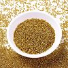 MIYUKI Delica Beads SEED-MY11-DB2157-2