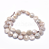 Electroplate Natural Sunstone Beads Strands G-K256-20B-2