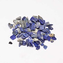 Natural Lapis Lazuli Chip Beads G-L453-05