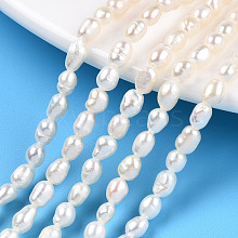 Natural Cultured Freshwater Pearl Beads Strands PEAR-N012-03I