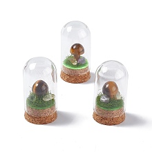 Natural Tiger Eye Mushroom Display Decoration with Glass Dome Cloche Cover G-E588-03F