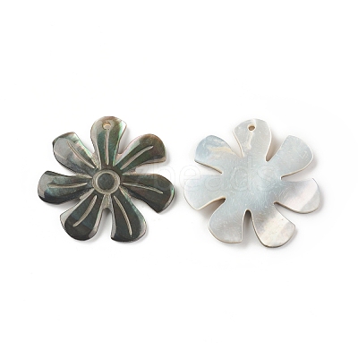 Natural Black Lip Shell Pendants SSHEL-T012-10-1