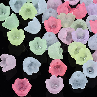 Transparent Acrylic Beads X-FACR-N005-001-1