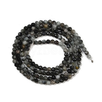 Natural Eagle Eye Stone Beads Strands G-RM250101-E6-1