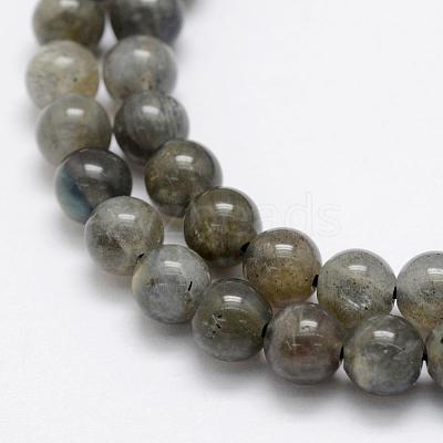 Natural Labradorite Beads Strands G-P322-31-6mm-1