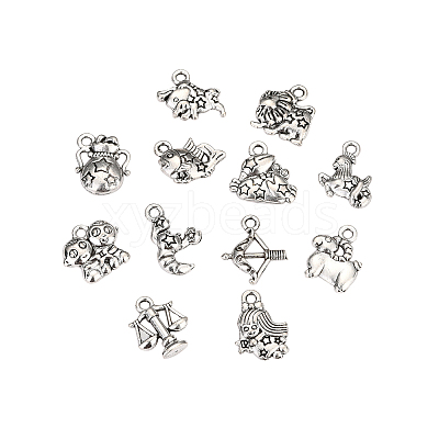 Zinc Alloy Charms PALLOY-CJ0001-100-1
