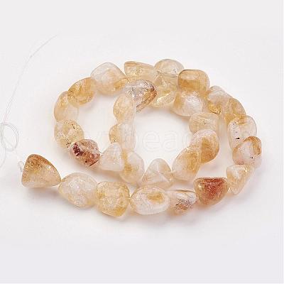 Natural Gemstone Nugget Citrine Bead Strands G-F156-01-1