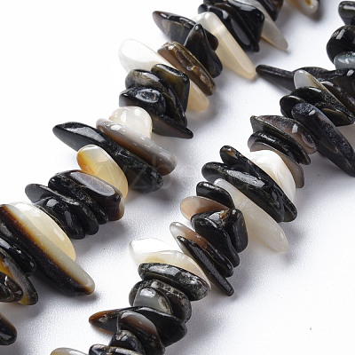 Natural Black Lip Shell Bead Strands SSHEL-N304-102-1