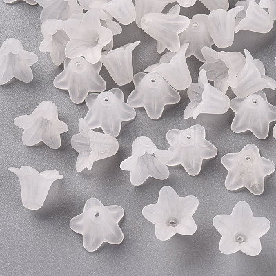 Transparent Acrylic Beads PLF018-01-1