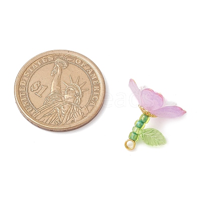 Transparent Acrylic Pendants PALLOY-MZ00822-04-1