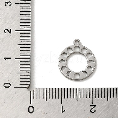 Non-Tarnish 304 Stainless Steel Charms LS-STAS-O005-10P-1