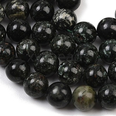 Natural Seraphinite Beads Strands G-H337-A03-05-1