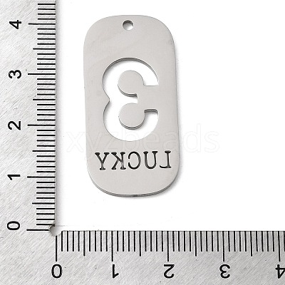 304 Stainless Steel Pendants STAS-D200-02D-P-1