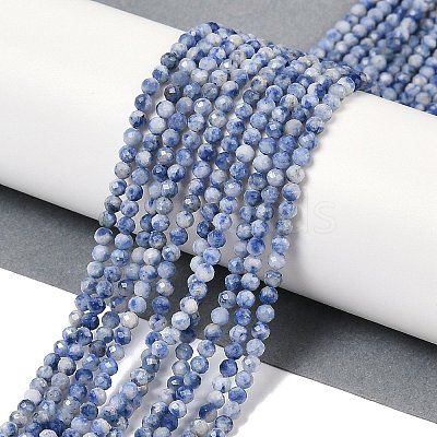 Natural Blue Spot Jasper Beads Strands G-A252-A02-02-1