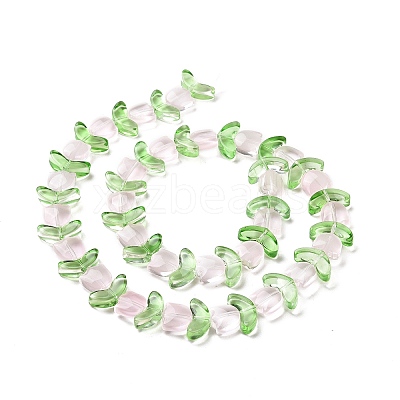 Transparent Glass Beads Strands LAMP-H061-02C-1