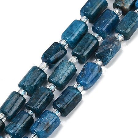 Natural Apatite Beads Strands G-G162-D10-01-1