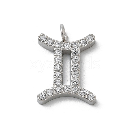 304 Stainless Steel Micro Pave Cubic Zirconia Charms STAS-Z107-09P-08-1