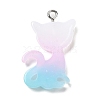 Translucent Resin Pendants RESI-G069-03B-2