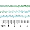 Transparent Painted Glass Beads Strands LS-DGLA-A034-T2mm-A16-3