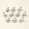 Tibetan Style Alloy Charms TIBE-YW0001-42-2