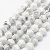 Natural Howlite Beads Strands G-F523-28-8mm-1