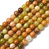 Natural Green Opal Beads Strands G-K245-A17-A02-2