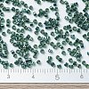 MIYUKI Delica Beads X-SEED-J020-DB0276-4