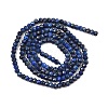 Dyed Natural Lapis Lazuli Beads Strands G-K376-B05-01-3