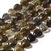 Natural Labradorite Beads Strands G-R190-10mm-52-2