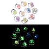 Luminous Transparent Acrylic Pendants TACR-P010-03-1