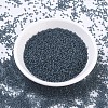 MIYUKI Round Rocailles Beads X-SEED-G007-RR1938-2