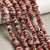 Natural Argentina Rhodonite Beads Strands GG-CBAC13F-B04-01-1