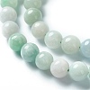 Natural Jadeite Beads Strands G-L568-001B-3