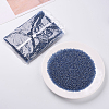 45G about 3000pcs Glass Seed Beads SEED-PA0001-29A-02-4