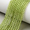 Natural Peridot Beads Strands G-P603-C-3mm-01-1