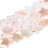 Natural Freshwater Shell Beads Strands SSHEL-N040-18-1