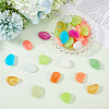 1 Set Resin Luminous Glow in the Dark Pebbles Stone DJEW-CN0001-40A-3
