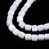 Natural Freshwater Shell Beads Strands SHEL-N003-33-B01-3