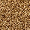MIYUKI Round Rocailles Beads LS-X-SEED-G007-RR0182-4
