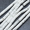 Natural Howlite Beads Strands G-F631-D18-1