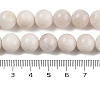 Natural Rainbow Moonstone Beads Strands G-N328-024-10mm-AB-6