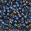 Glass Seed Beads SEED-H002-B-D215-3