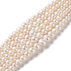 Natural Pearl Beads Strands PEAR-E018-67-1