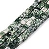 Natural Green Spot Jasper Beads Strands G-T139-6x6-23A-4