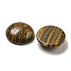 Natural Tiger Iron Cabochons G-C115-02A-34-2