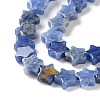 Natural Sodalite Beads Strands G-G085-B46-02-4